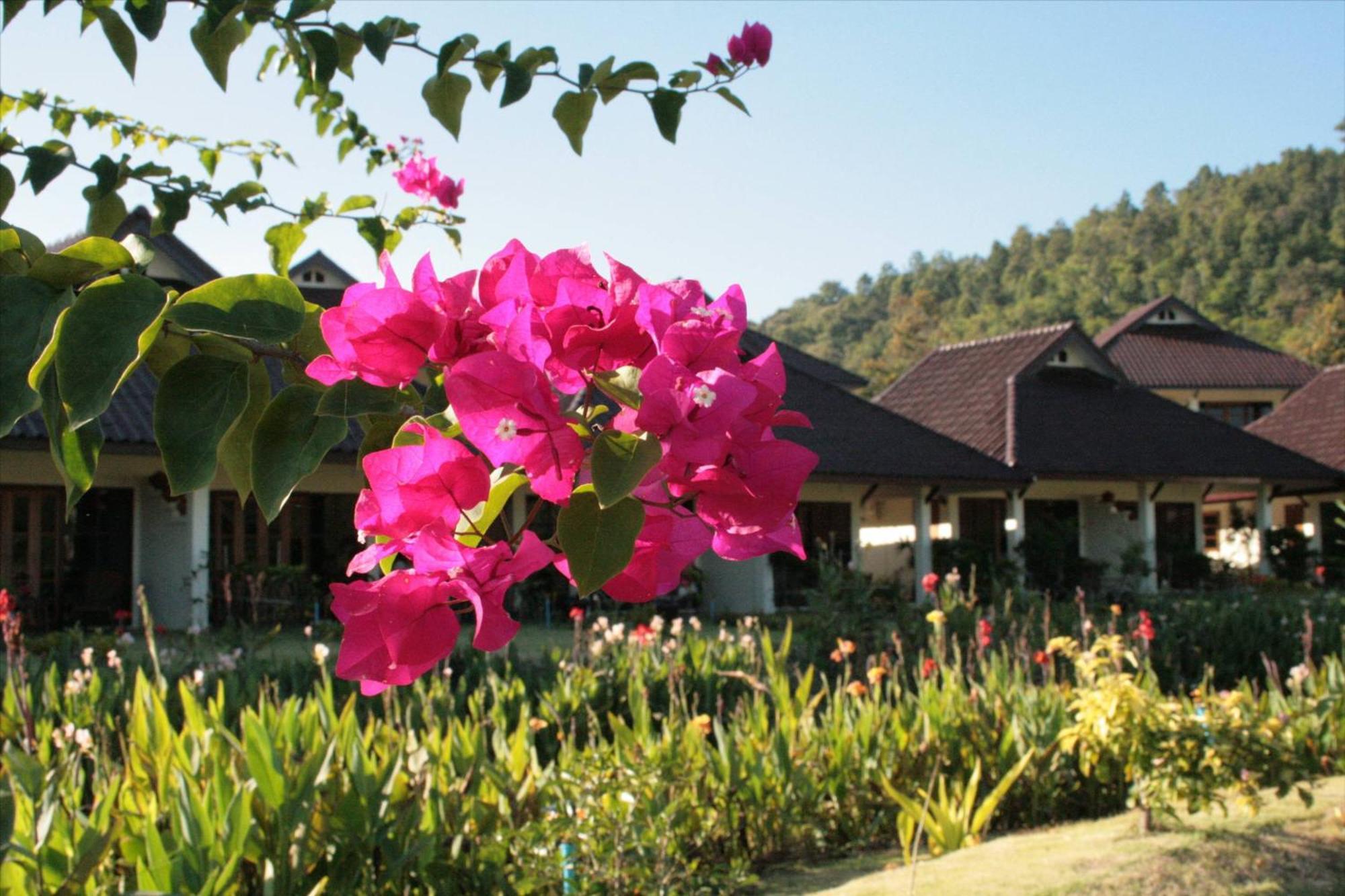 Maekok River Village Resort Mae Ai Buitenkant foto